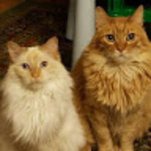 Meet your Posher, Teresa